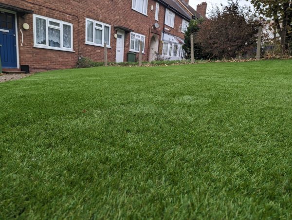 Bargain Lawn 35mm Installation